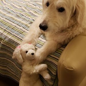 Meet your Posher, Alicia